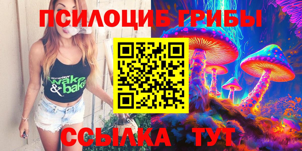 Галлюциногенные грибы Psilocybine cubensis Гусь-Хрустальный